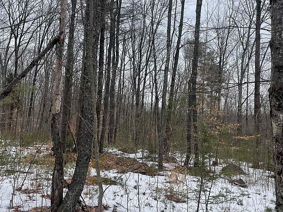 2nd image of Lot 13-9 E Washington Road