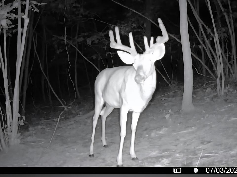 1st image of Q Q North Dr