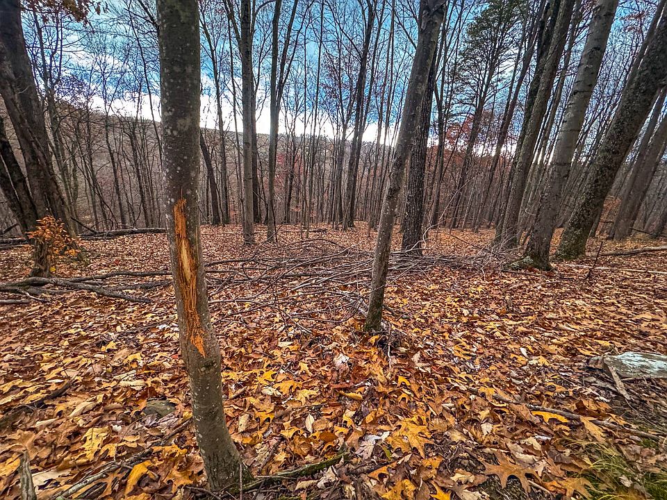 28th image of this home