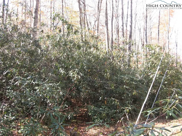 539 Pinnacle Ridge Road, Beech Mountain, NC 28604