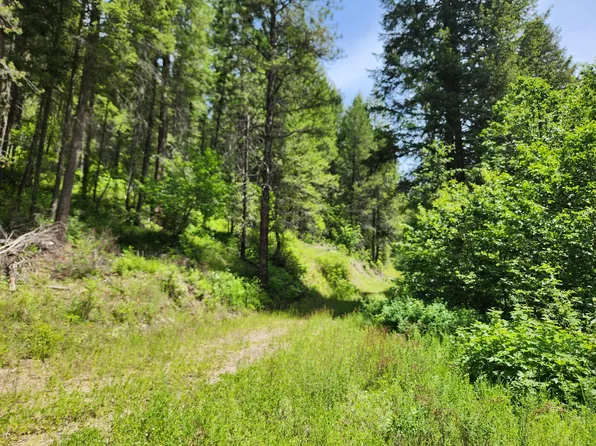 Wells Creek Rd, Inchelium, WA 99138