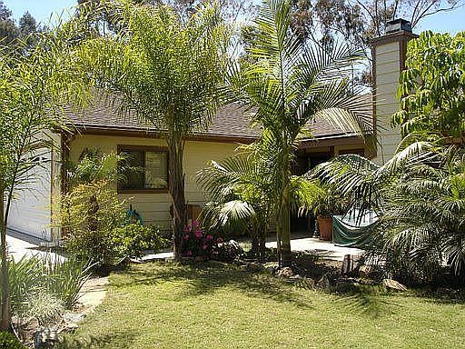 Lush Tropical Landscaping