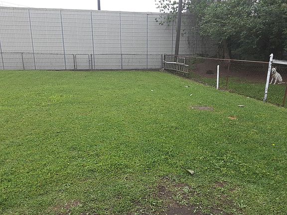 Large Backyard for entertaining. Especially for active kids or dog.