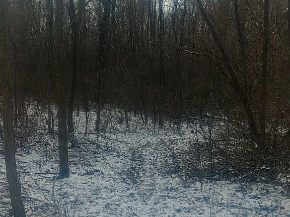 3rd image of 17 Willow View Dr SW