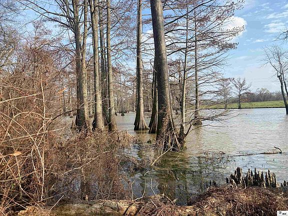 3rd image of 0 Bonne Idee Hideaway Rd