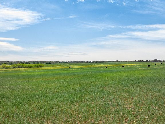 5th image of 4901 Little Rd