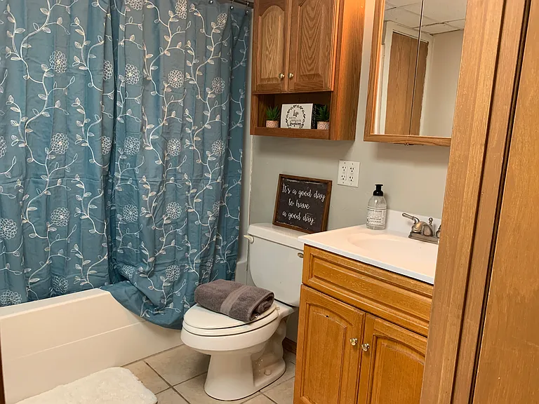 full bathroom lower level