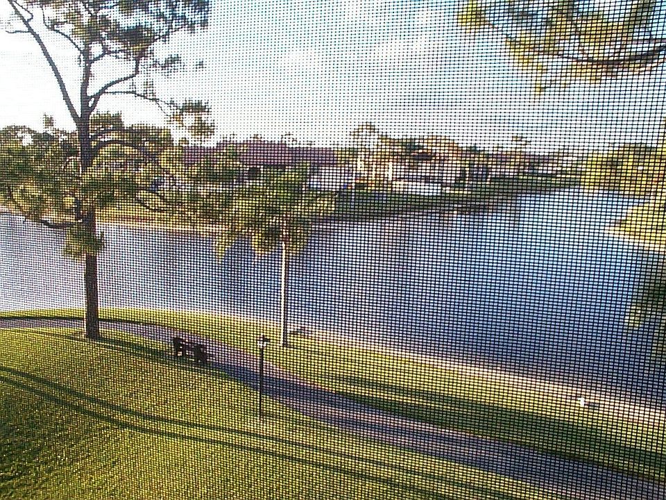View from Sunroom