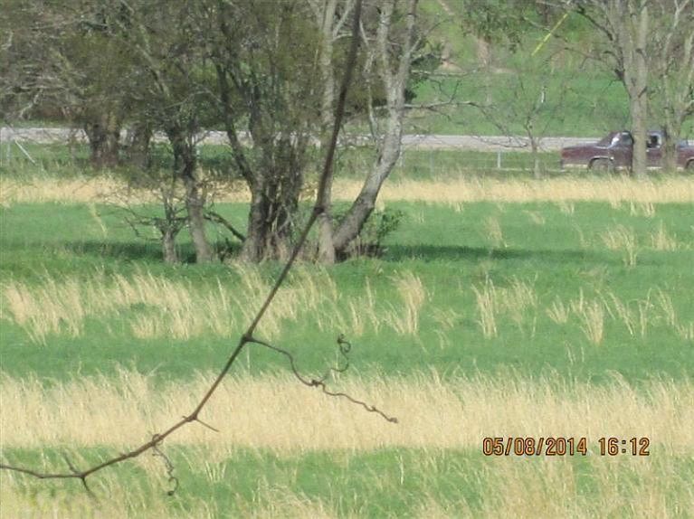 2nd image of 11 Saint