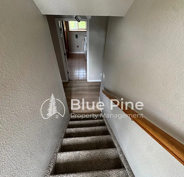 3535 Spring Creek Dr — Photo 19