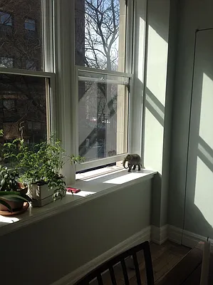 Rented by Brown Harris Stevens | media 5