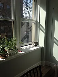 Rented by Brown Harris Stevens