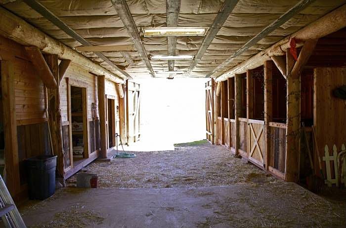 Photo 10