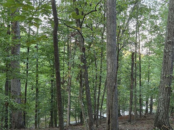 4th image of 207 Turk Rd