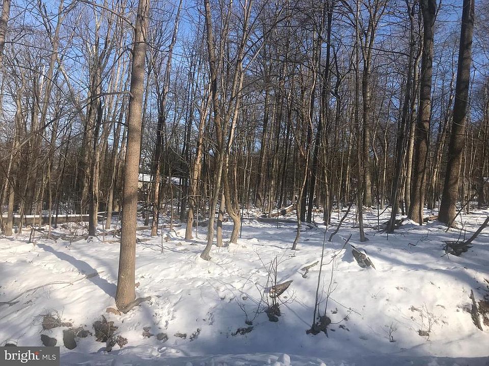2nd image of 386 Tomahawk Dr