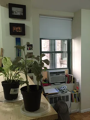 Rented by Owner | media 7