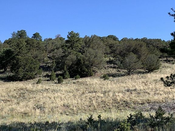 3rd image of 629 Little Horn Dr