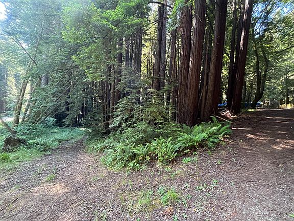 3rd image of 1355 Nicasio Valley Road