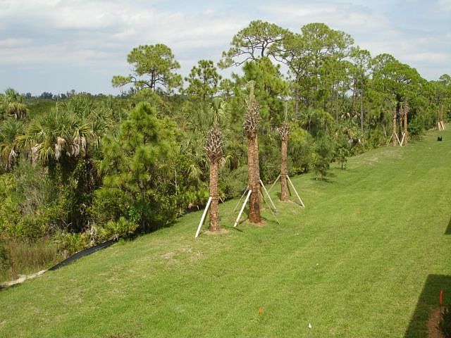 NATURE PRESERVE view from Master bed, bath, sitting area, Living, Dining, Kitc
