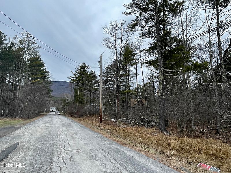 3rd image of L40.000 Stone Mt Road