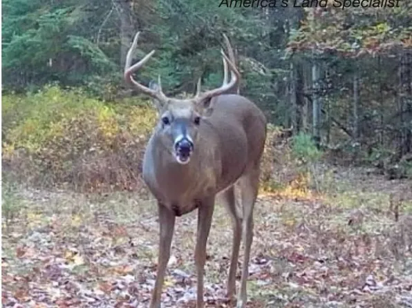 2705 N National City Rd, National City, MI 48748