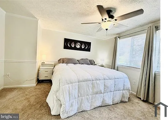 51 Chins Ct — Photo 26