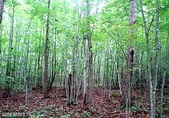 10217 Elys Ford Rd, Fredericksburg, VA 22407 | Zillow