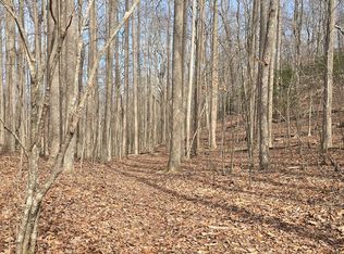 Caesar Gap Rd, Hiawassee, GA 30546