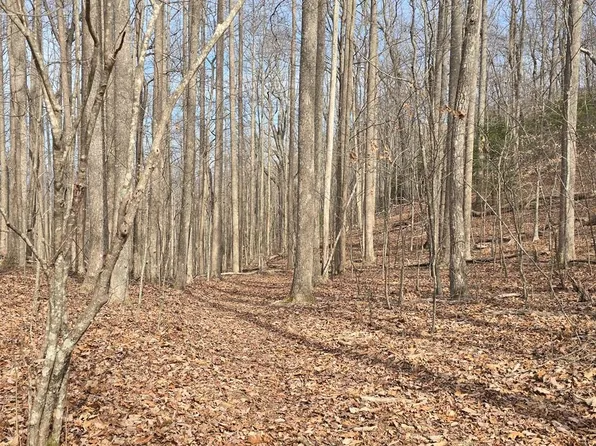 Caesar Gap Rd, Hiawassee, GA 30546