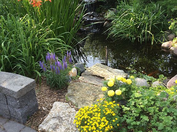 Perennials everywhere