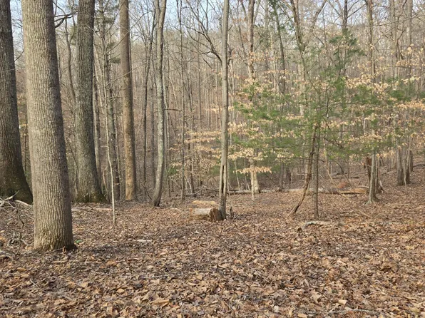 LOT 60 Cherrywood Ln, Moneta, VA 24121