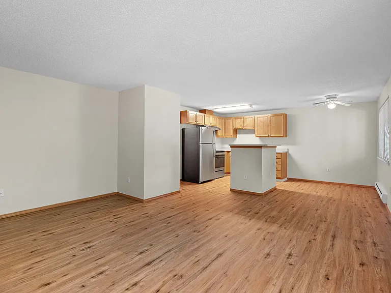 Living Room + Dining Room + Kitchen