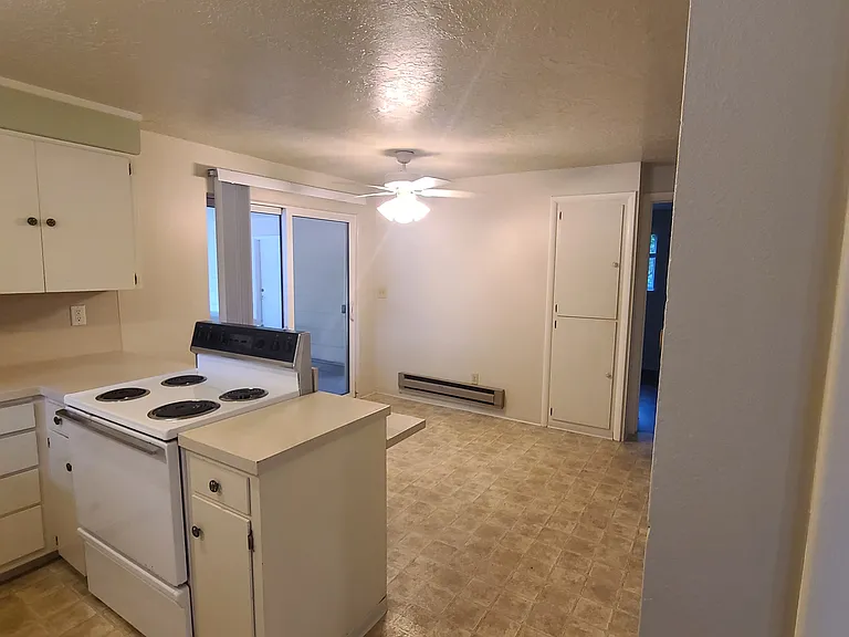 Open Concept Kitchen and Dining
