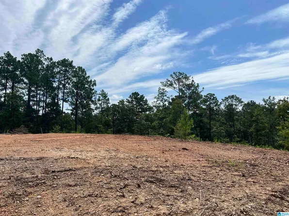 0 County Road 188, Clanton, AL 35046