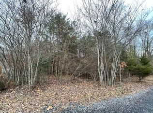 49 Lakewood Forest Cir, Moneta, VA 24121