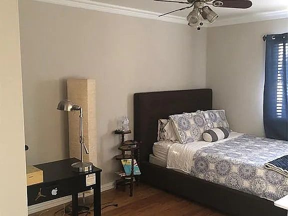 4th image of 7407 Riptide Dr