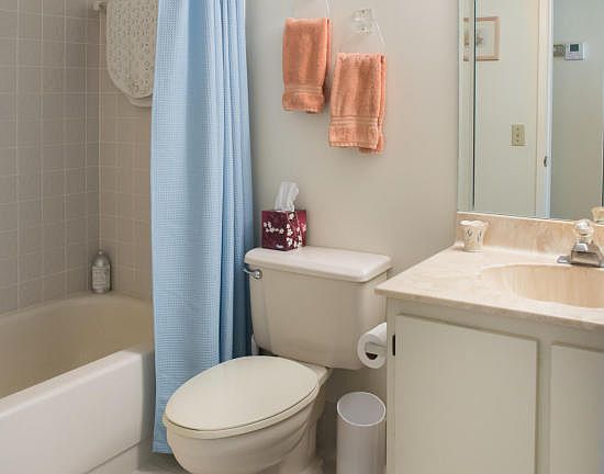 4th image of 10805 Bahama Palm Way APT 101