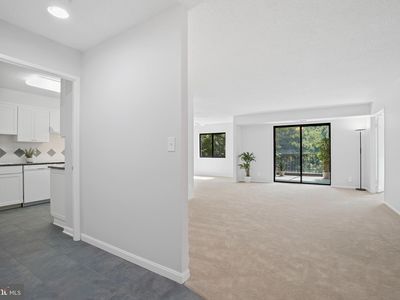 5903 Mount Eagle Dr APT 316, Alexandria, VA, 22303