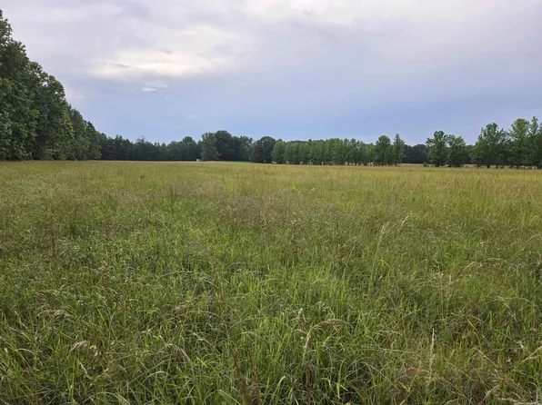 0 Greene 611 Rd Tract B-2, Paragould, AR 72450