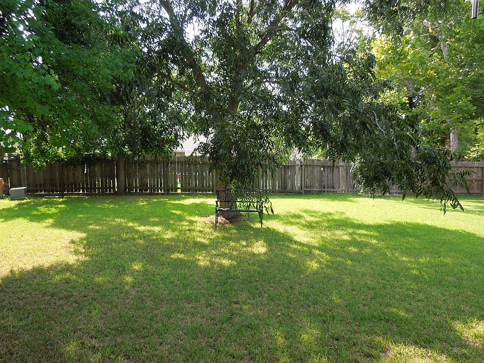Pool Sized BkYd Mature Trees