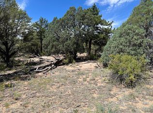 216 Westview Rd, Cotopaxi, CO 81223