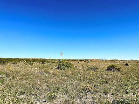 4th image of 18311 State Highway 90