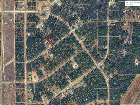 14041 Ricebird Ave Lot 6, Brooksville, FL 34614