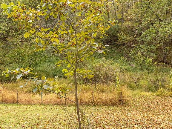 3rd image of 5879 Steele Rd