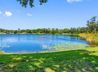 10209 Lake Grove Dr, Odessa, FL 33556