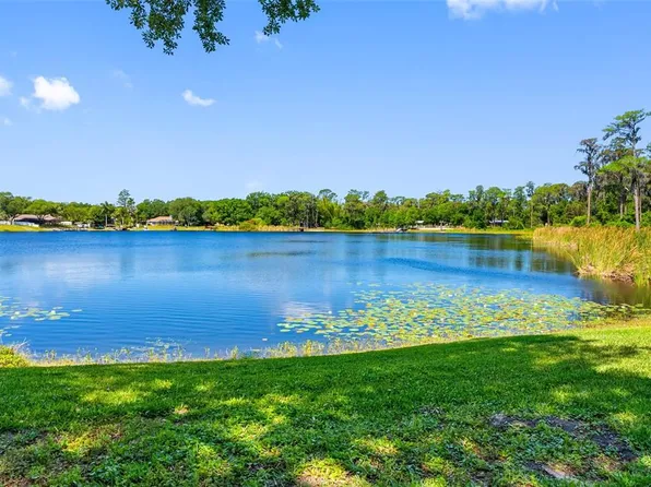 10209 Lake Grove Dr, Odessa, FL 33556