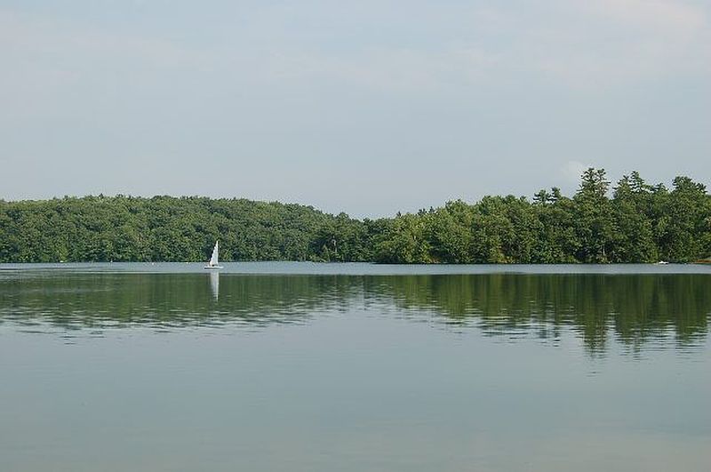 3rd image of 8-10 BEACH Lane
