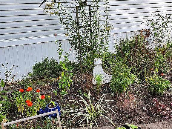 Front Flower Garden