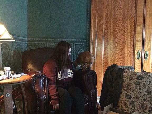 Living room on first floor