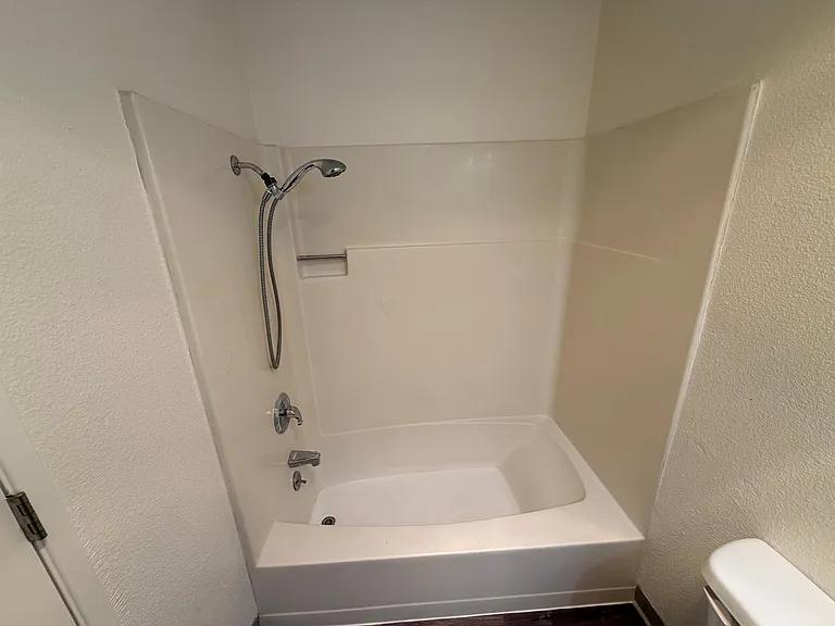 Shower/Tub Combo